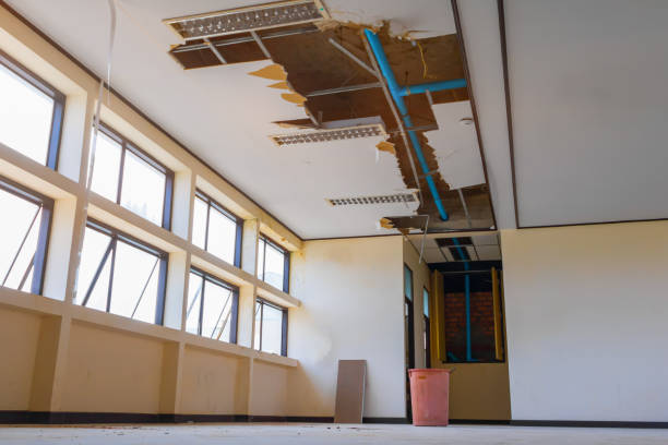 Best Water damage restoration near me  in White Meadow Lake, NJ