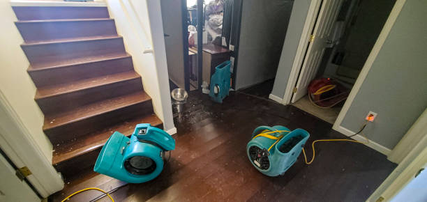 Best Flooded house restoration  in White Meadow Lake, NJ