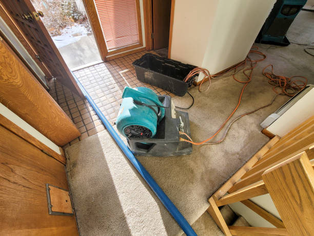 Best Sewage cleanup and water damage restoration  in White Meadow Lake, NJ