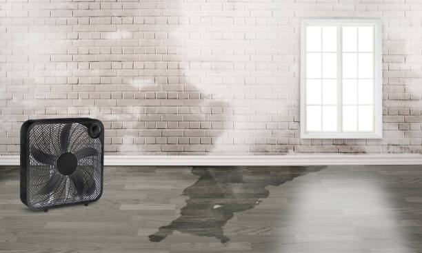 Best Local water damage restoration  in White Meadow Lake, NJ