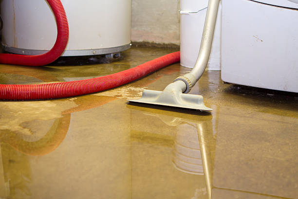 Best Local water damage restoration  in White Meadow Lake, NJ