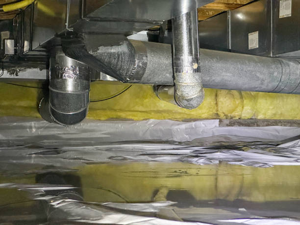 Best Water damage cleanup near me  in White Meadow Lake, NJ